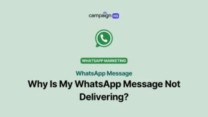 WhatsApp Message Not Delivering