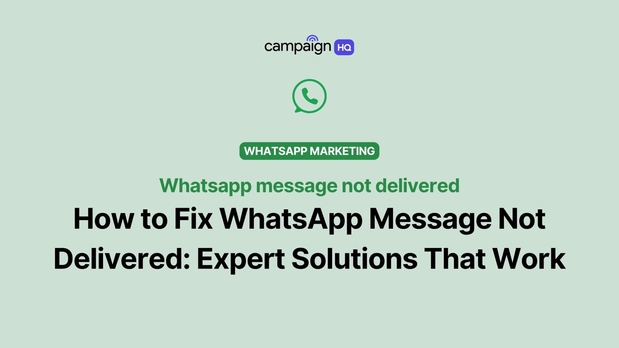 How To Do A WhatsApp Blast Without Getting Blocked How To Do A WhatsApp Blast Without Getting Blocked
